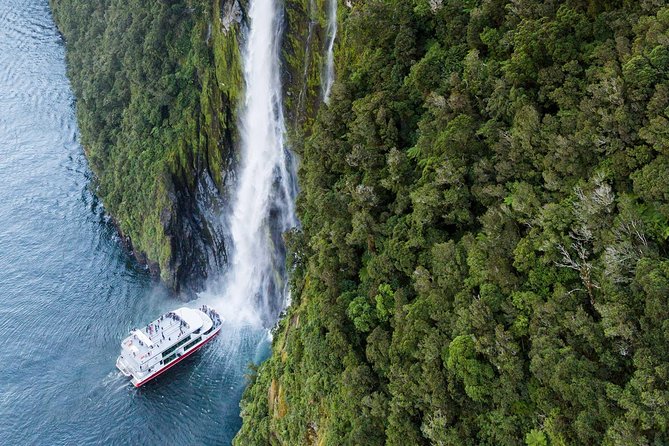 Milford Sound Luxury Lunch Cruise onboard The Fiordland Jewel - Is the $216.58 price good value?