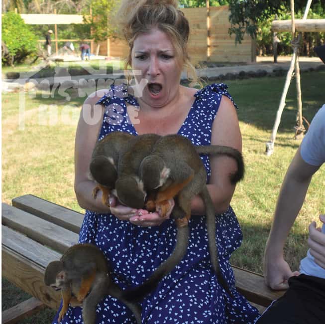 Monkey House VIP – An exclusive experience in Punta Cana - Meeting the monkeys in Punta Cana