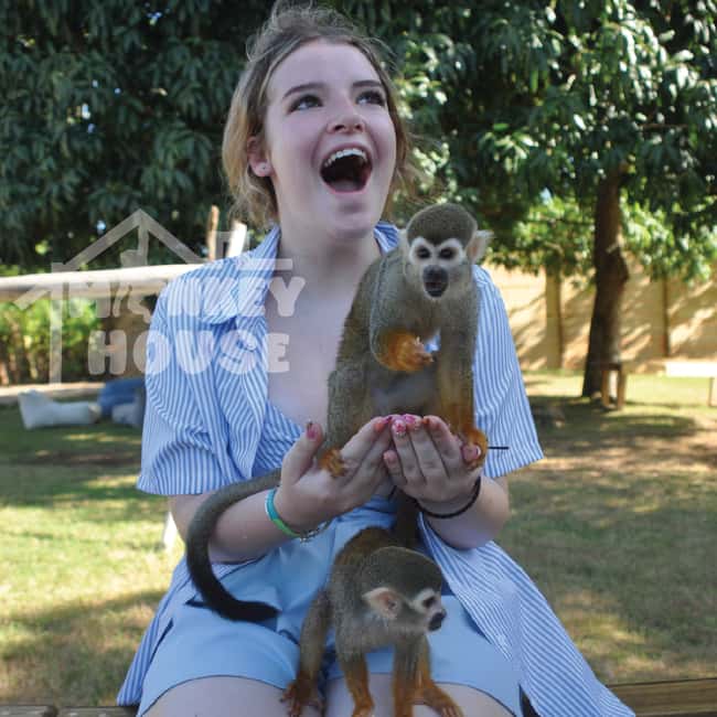 Monkey House VIP – An exclusive experience in Punta Cana - What happens during the 150 minutes