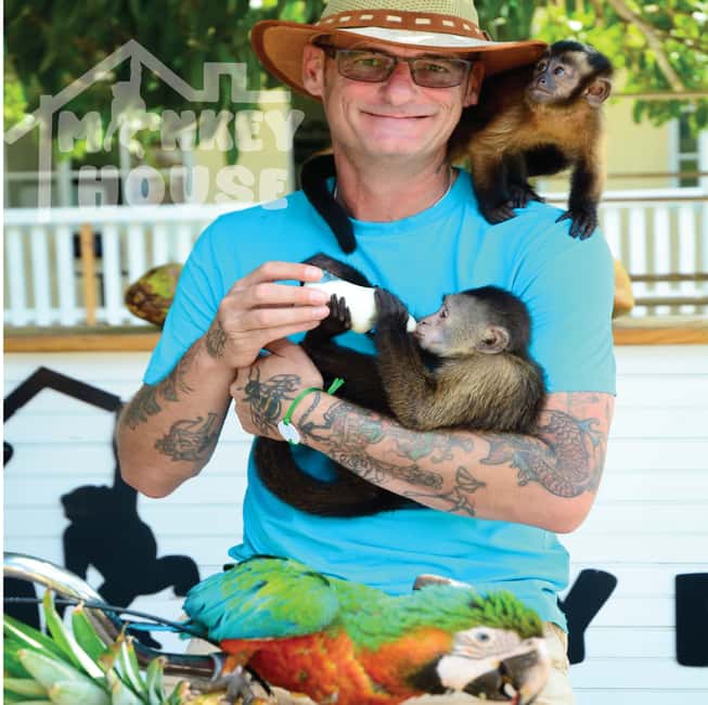 Monkey House VIP – An exclusive experience in Punta Cana - A strong choice for families with young children