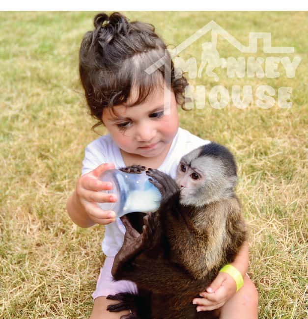 Monkey House VIP – An exclusive experience in Punta Cana - Why the private area matters