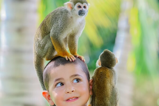 Monkey House VIP Experience with 4 species of monkeys, Punta Cana - The professional photo issue