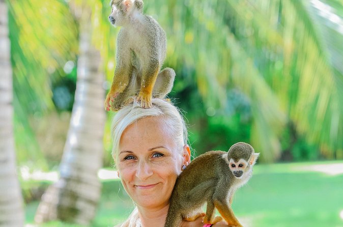 Monkey House VIP Experience with 4 species of monkeys, Punta Cana - Who will enjoy Monkey House most?