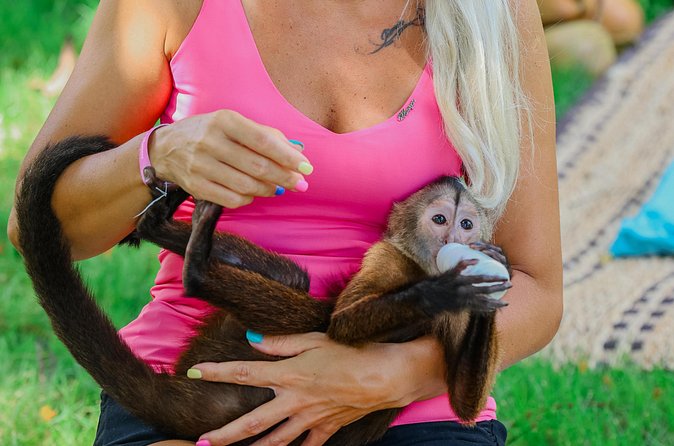Monkey House VIP Experience with 4 species of monkeys, Punta Cana - Weather, cancellation, and basic rules
