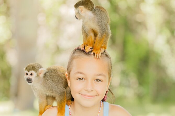 Monkey House VIP Experience with 4 species of monkeys, Punta Cana - Staff contact and animal handling