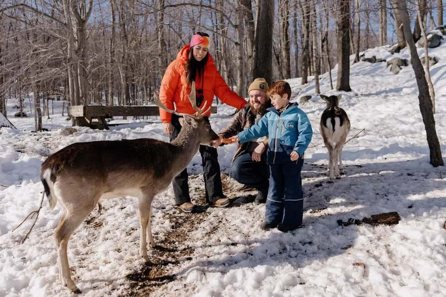 Montebello, QC: Morning VIP Tour at Parc Oméga - Why the early morning matters at Parc Oméga