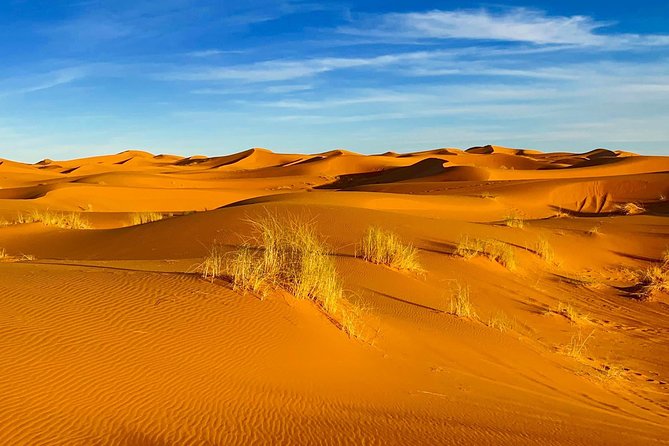 Moroccan Desert 3-Day Luxury Tour from Marrakech - Todra Gorge and the long road to Erg Chebbi