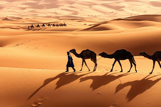 Morocco Top Trips: Luxury 10-Day Private Tour in Morocco - What this 10-day Morocco route actually gives you