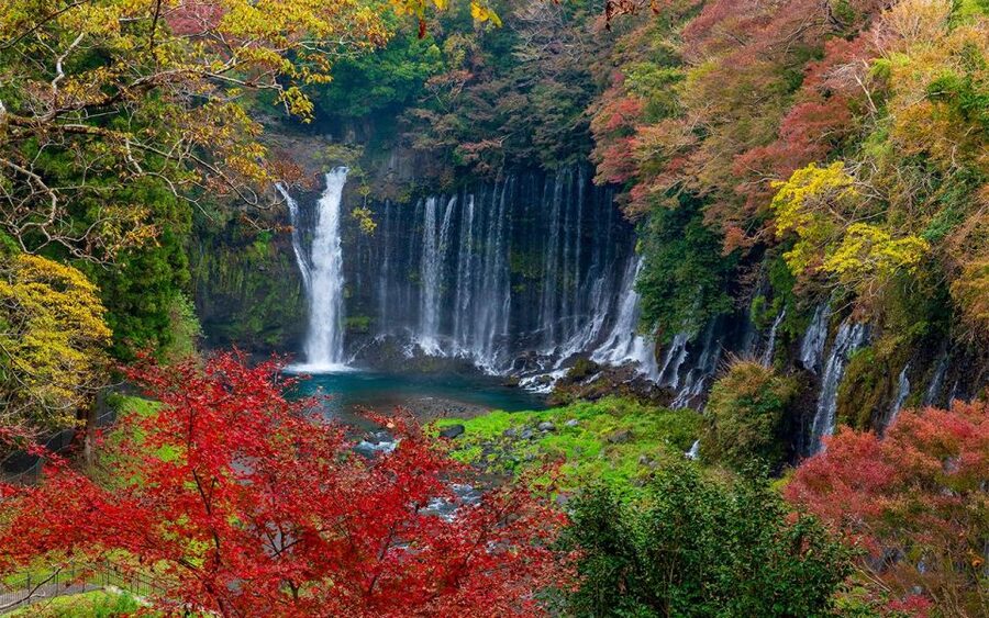 Mt Fuji : Private 10-Hour Luxury Tour by Exclusive Car - Key points to know before booking