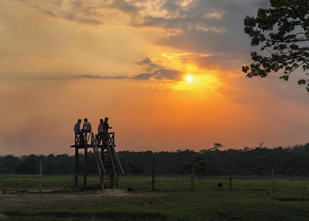 Nepal in Luxury: Kathmandu, Chitwan & Pokhara Escape – 8 Days - Key points to know before booking