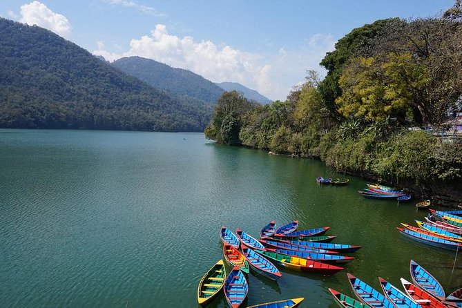 Nepal in Luxury: Kathmandu, Chitwan & Pokhara Escape – 8 Days - Two nights among Chitwan’s wildlife