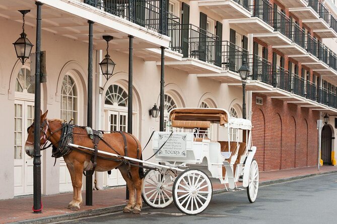 New Orleans VIP Bar and Club Crawl - Key points to know before you book