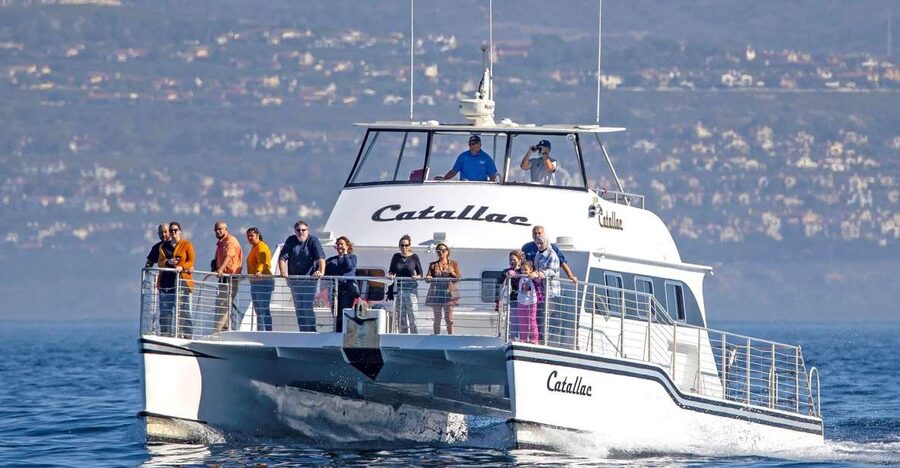 Newport Beach: Luxury Whale Watching Catamaran Cruise - Boarding at the Balboa Pavilion