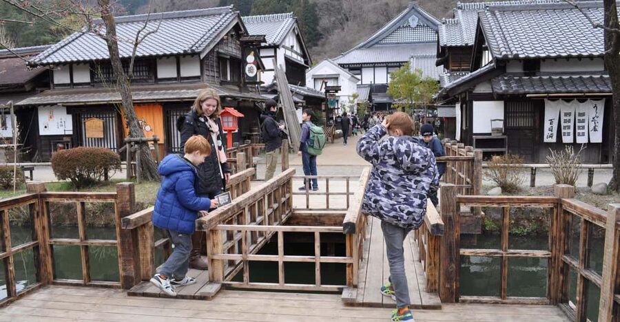 Nikko in Style: Luxury private Day Tour with English guide - Why this private Nikko day trip makes sense from Tokyo