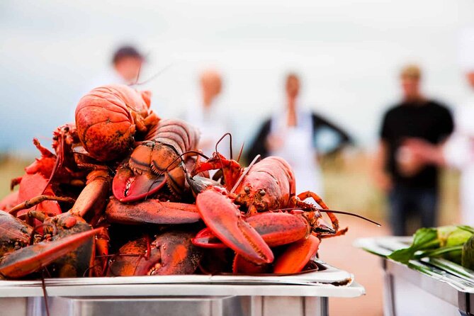 North Shore Tour of Prince Edward Island In Luxury - What the luxury vehicle adds