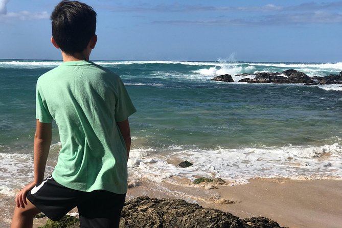 Oahu Unveiled: Tailored Luxury Private Island Tour - Laniakea Beach and the turtle question