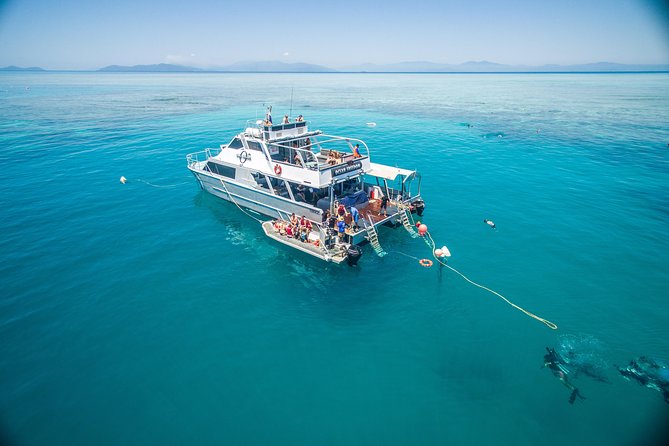 Ocean Freedom Great Barrier Reef Luxury Snorkel and Dive Cruise - A full reef day from Cairns, not just a quick swim