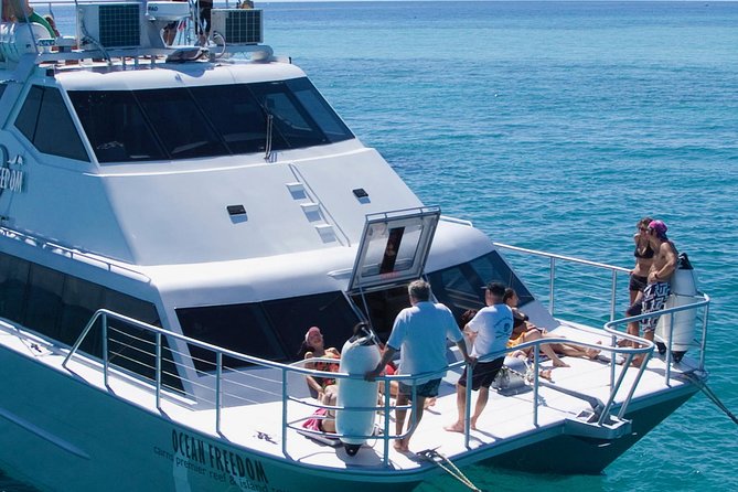Ocean Freedom Great Barrier Reef Luxury Snorkel and Dive Cruise - Scuba options for certified and first-time participants