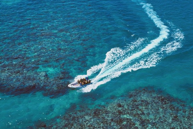 Ocean Freedom Great Barrier Reef Luxury Snorkel and Dive Cruise - Safety and comfort on a moving catamaran