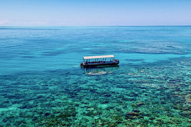 Ocean Freedom Great Barrier Reef Luxury Snorkel and Dive Cruise - What the $181.28 price really covers