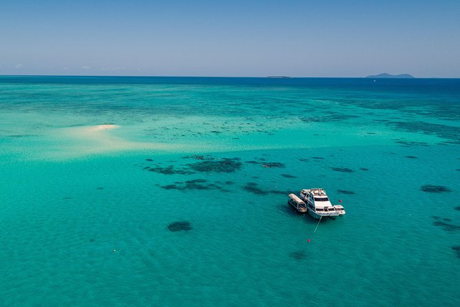 Ocean Freedom Great Barrier Reef Luxury Snorkel and Dive Cruise - Who will get the most from Ocean Freedom