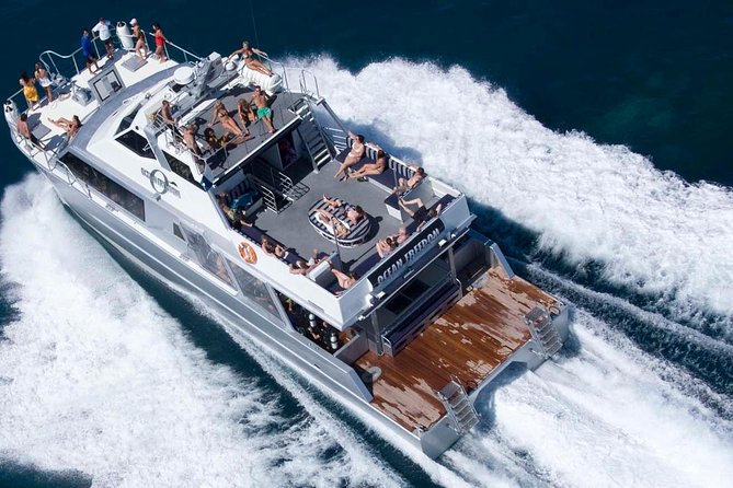 Ocean Freedom Great Barrier Reef Luxury Snorkel and Dive Cruise - Upolu Cay offers a gentler coral garden