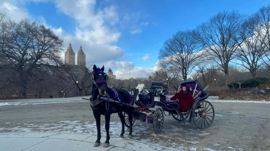 Official Exclusive VIP Horse Carriage Ride in Central Park - What this Central Park carriage ride really gives you