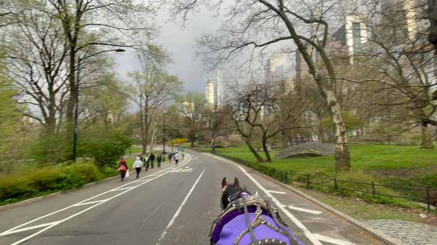Official Exclusive VIP Horse Carriage Ride in Central Park - Bethesda Fountain and Cherry Hill are the photo highlights