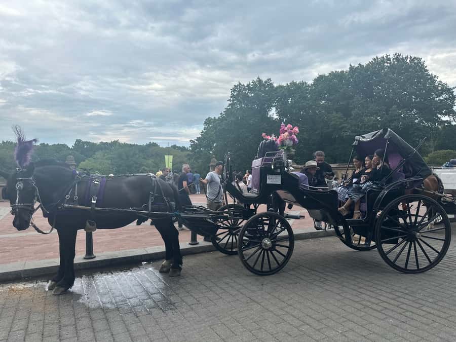Official Exclusive VIP Horse Carriage Ride in Central Park - Literary Mall, Sheep Meadow, and the parks working character