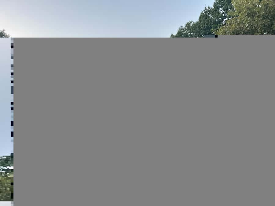 Official Exclusive VIP Horse Carriage Ride in Central Park - Guides, horses, and the feel of the ride