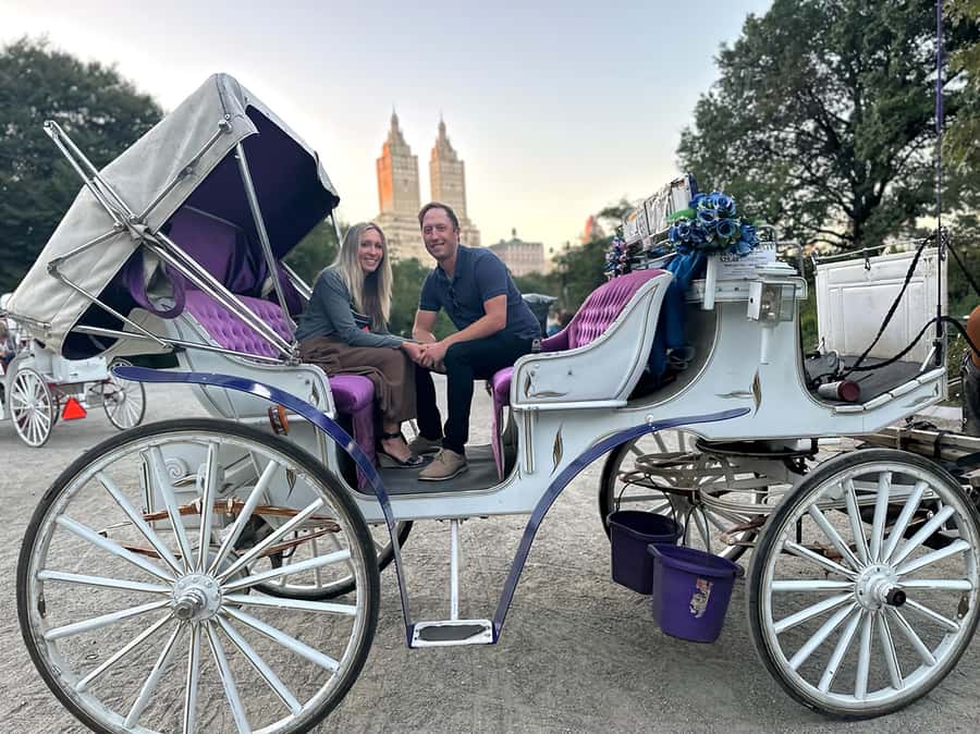 Official Exclusive VIP Horse Carriage Ride in Central Park - Is $195 a fair price for 45 minutes?