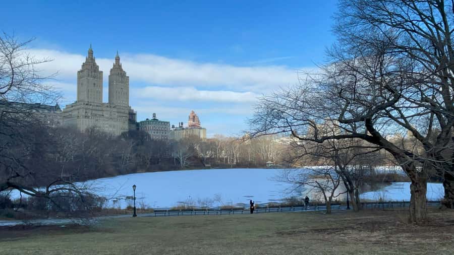 Official Exclusive VIP Horse Carriage Ride in Central Park - Booking details worth knowing
