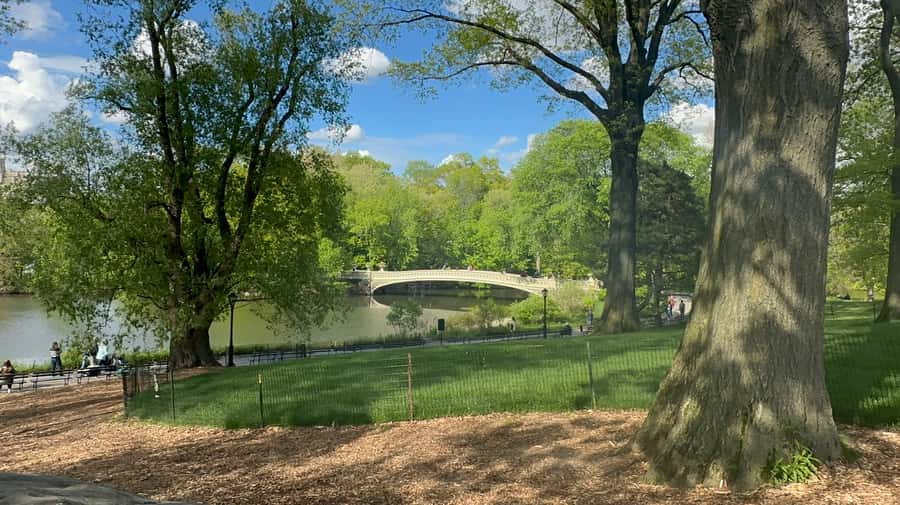 Official Exclusive VIP Horse Carriage Ride in Central Park - The route from Wollman Rink to the Carousel