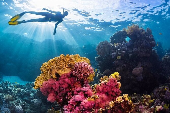 Orange Bay Island Luxury Boat With Lunch & Water Sport - Hurghada - Who should book this Red Sea trip