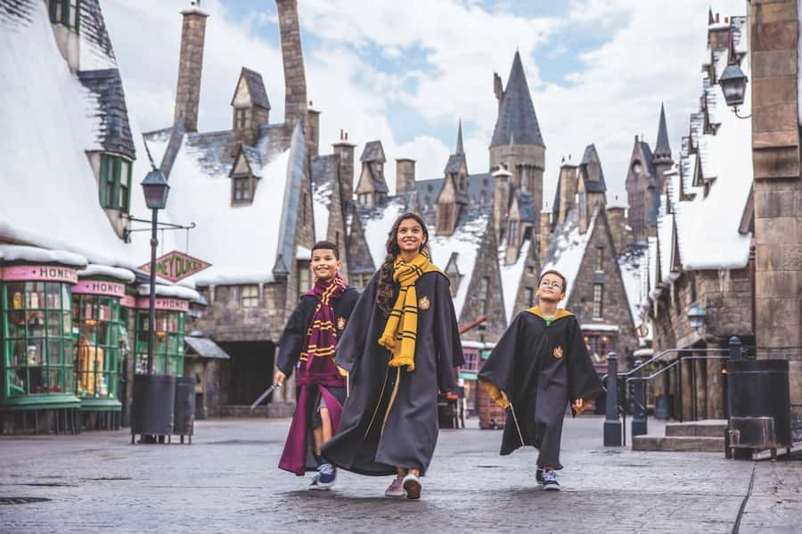 Orlando:Universal Studios 2-Park 1-Day VIP Experience Ticket - Who should book this experience