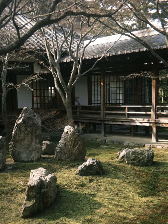 Osaka private Luxury Vehicle Tour：Freely Customized - Price, guide expectations, and booking conditions