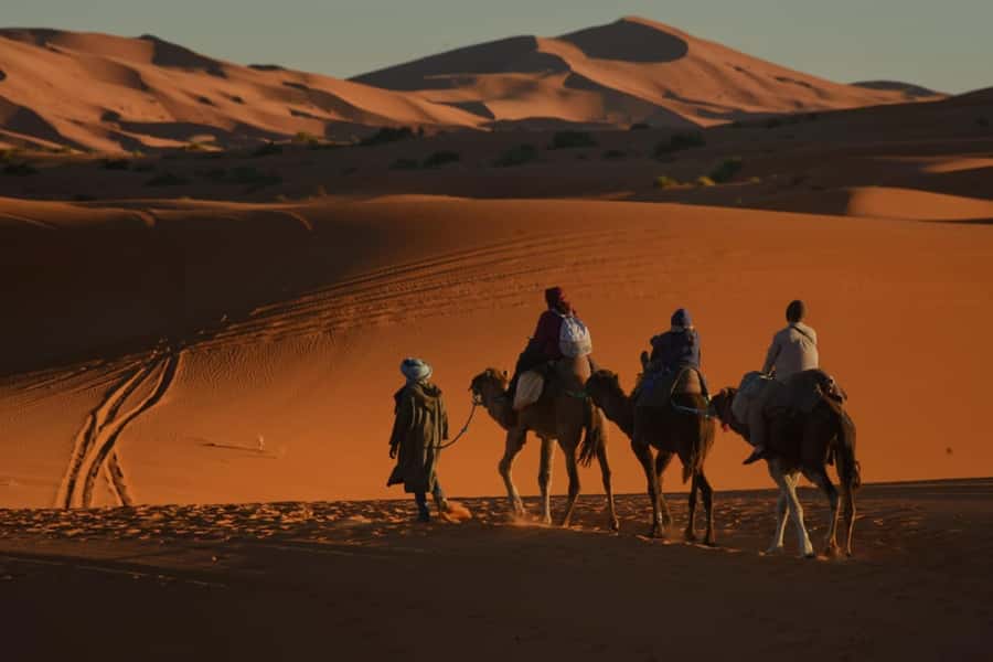 Overnight in Luxury Tent in Desert Camp Erg Chebbi Merzouga - Who should book this overnight camp