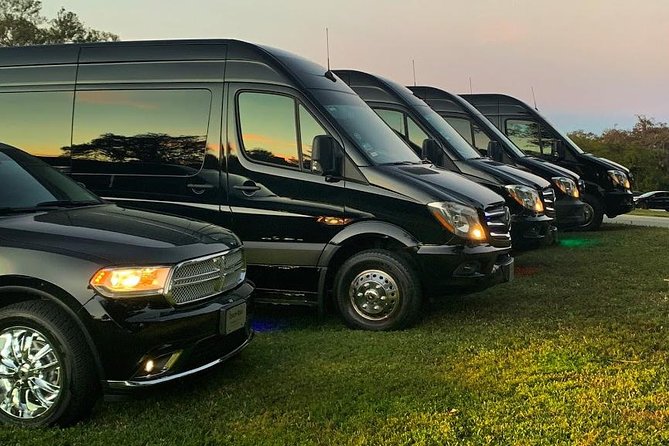 Party Bus Luxury Sprinter Limos - Why the Sprinter works for celebrations