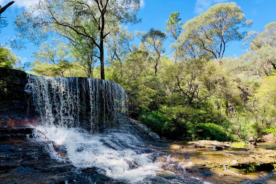 Personalised Blue Mountains Tour: Luxury Vehicles & Insights - Key points to know before booking