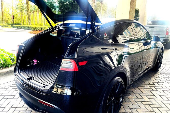 Port Canaveral to Orlando Airport MCO Luxury Sedan - Luggage help and airport drop-off