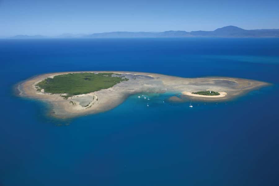 Port Douglas: Low Isles Afternoon Cruise on Luxury Catamaran - Three hours in the Low Isles lagoon