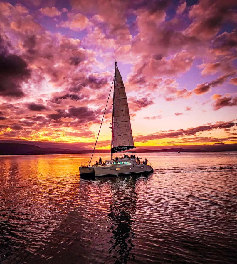Port Douglas: Low Isles Afternoon Cruise on Luxury Catamaran - The glass-bottom boat and Low Isles Heritage Island