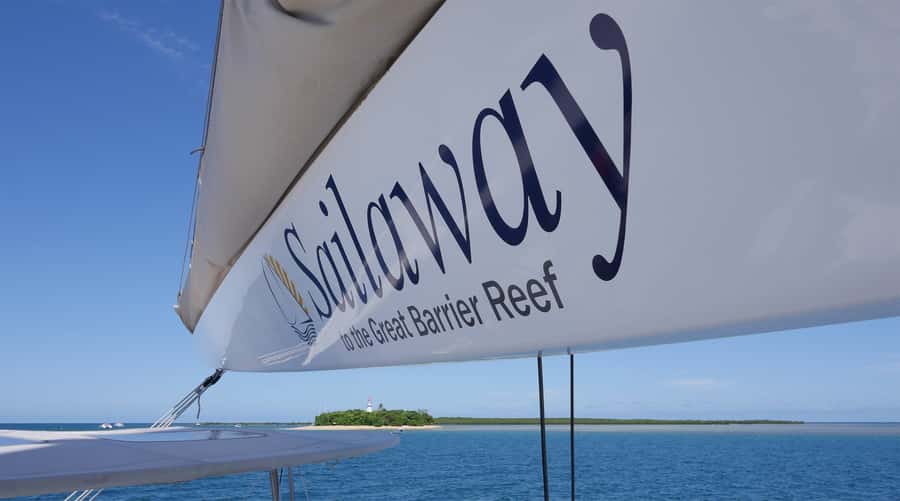 Port Douglas: Low Isles Afternoon Cruise on Luxury Catamaran - Who should book this Low Isles cruise?