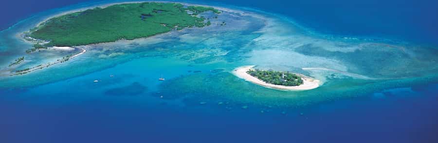 Port Douglas: Reef & Low Isles Cruise on Luxury Catamaran - The glass-bottom boat and reef interpretation