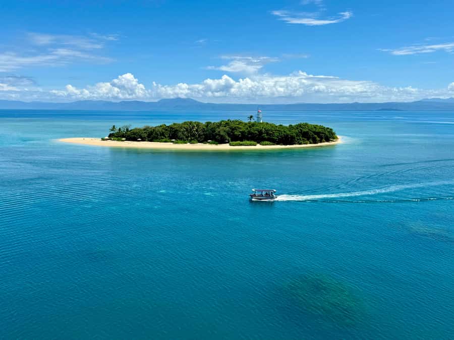Port Douglas: Reef & Low Isles Cruise on Luxury Catamaran - Who will get the most from this cruise