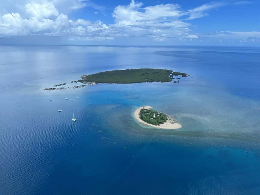 Port Douglas: Reef & Low Isles Cruise on Luxury Catamaran - Practical details that make the day easier