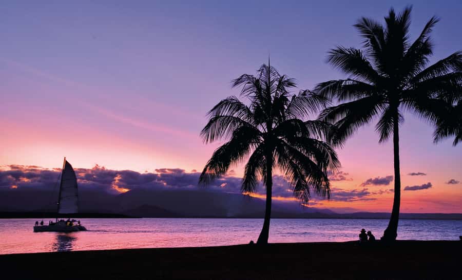 Port Douglas: Sunset Sailing Cruise on Luxury Catamaran - What makes the $66 price worthwhile