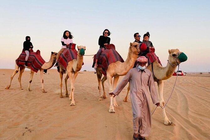 Premium Dubai Red Dunes with quadbike, camel ride and VIP Dinner - The Bedouin-style camp and VIP dinner