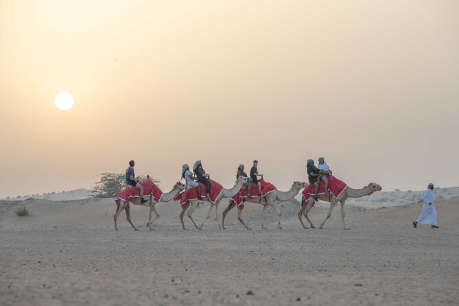 Premium Red Dunes Bashing with Quad Bike, Camel, Falcon &VIP Camp - A 45-minute dune-bashing run with real height