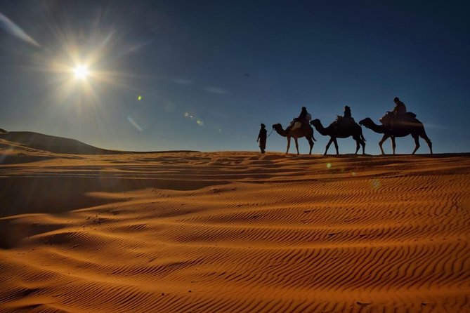 Private 2 Days Desert Tour from Fes with Overnight in Luxury Desert Camp - From Fes to Ifrane, Morocco’s unlikely alpine town